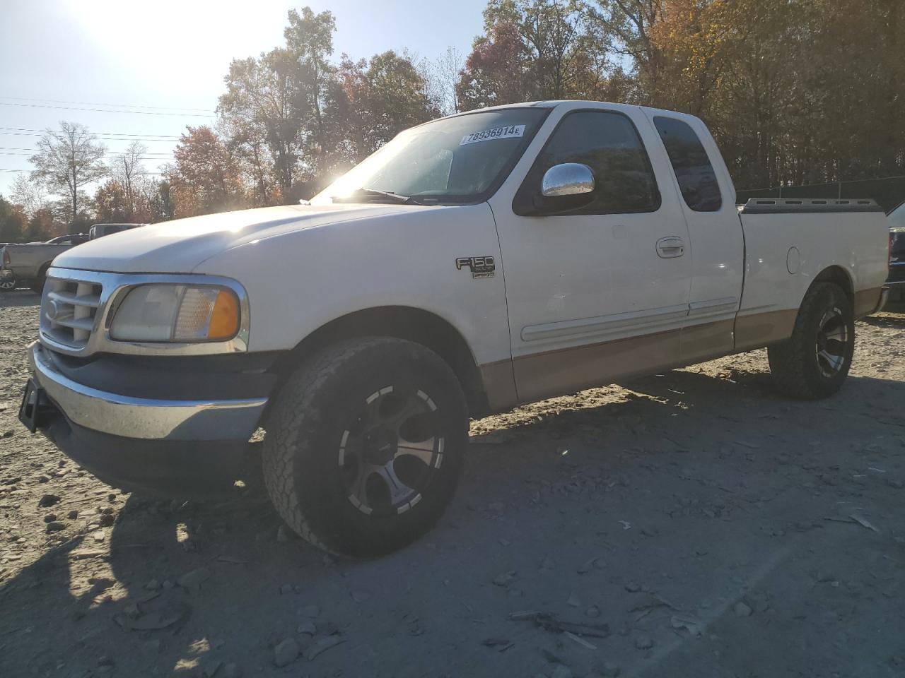 1999 Ford F-150 VIN 1FTRX17W5XNA87569