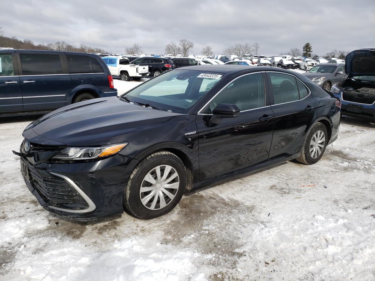 2021 Toyota Camry VIN 4T1C31AKXMU030689 - Copart auction photo