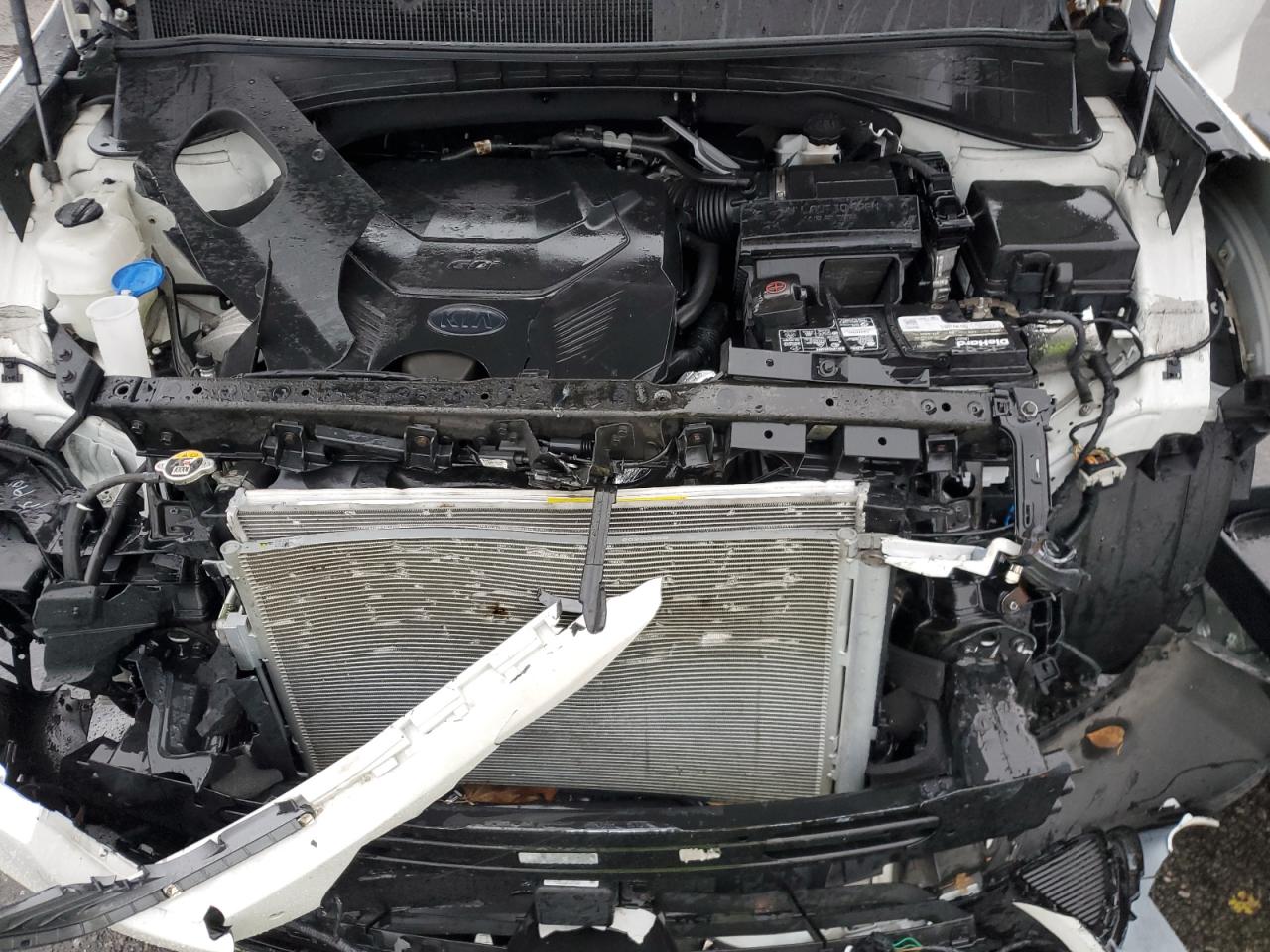 2019 KIA Sorento VIN 5XYPHDA55KG528347 Copart auction photo, front end / minor dent/scratches damage thumbnail 12