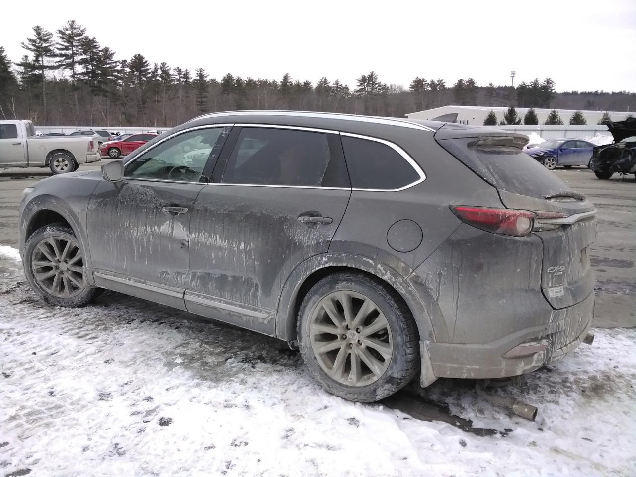 2019 Mazda CX-9 VIN JM3TCBDY0K0329890 Copart auction photo, side / rear end damage thumbnail 2