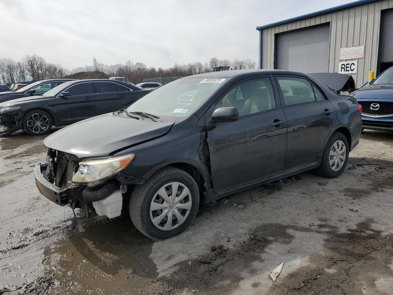 2009 Toyota Corolla VIN JTDBL40E499088692