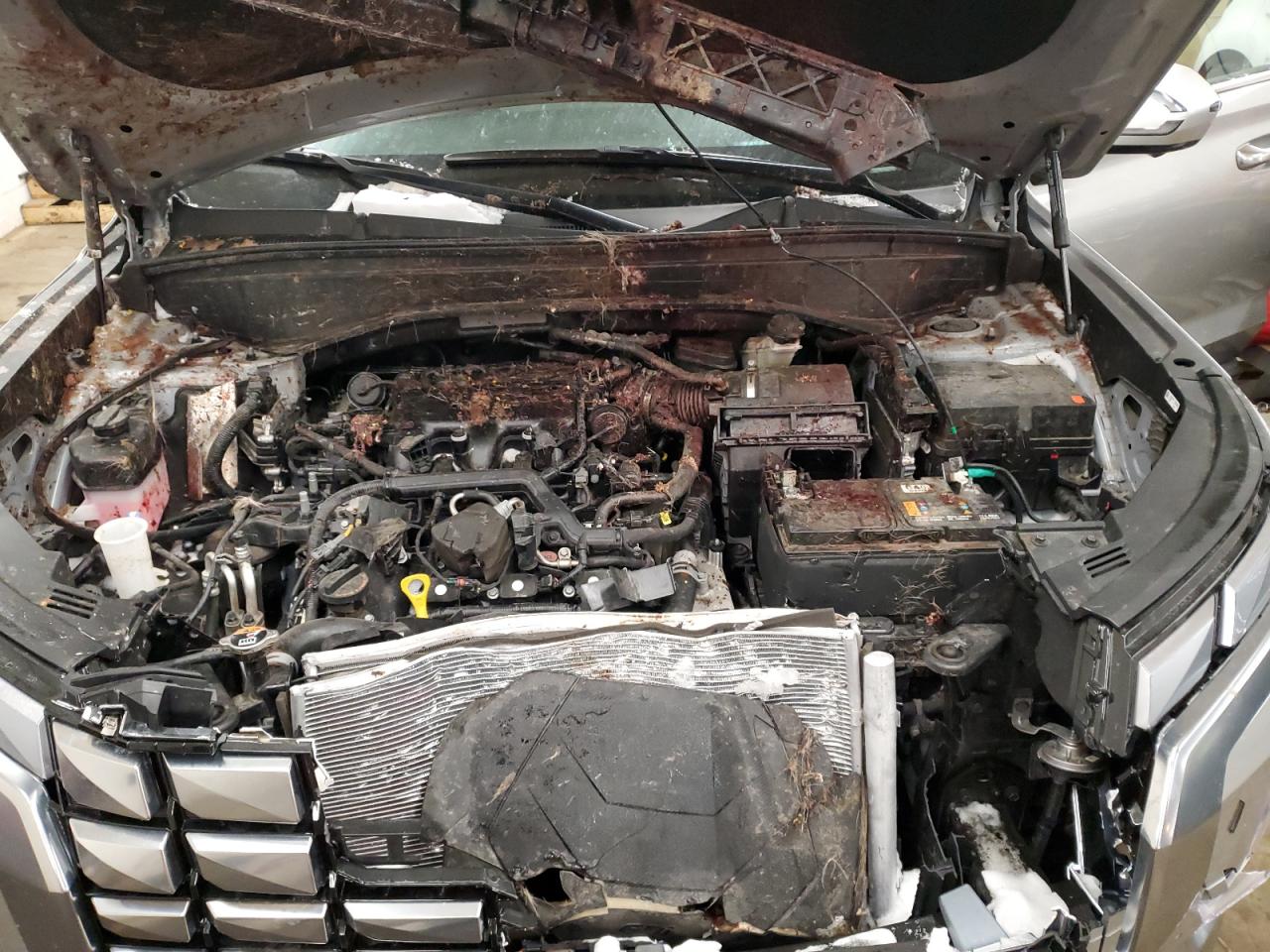2024 Hyundai Palisade VIN KM8R7DGE7RU662218 Copart auction photo, front end damage thumbnail 12