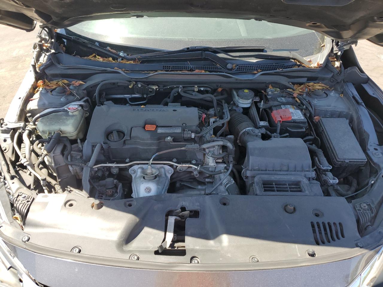 2016 Honda Civic VIN 19XFC2F51GE030559 Copart auction photo, side / front end damage thumbnail 11