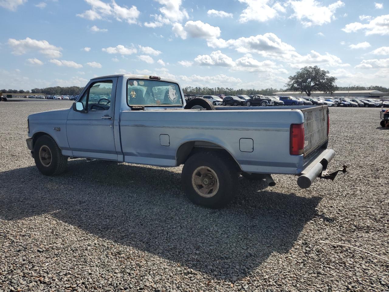 1996 Ford F-150 VIN 1FTEF15Y8TNA10582 Copart auction photo, all over damage thumbnail 2