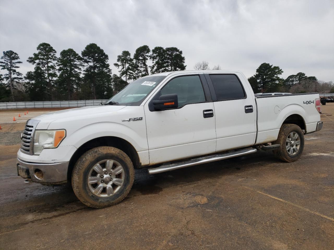 2010 Ford F-150 VIN 1FTFW1EV6AKB97913