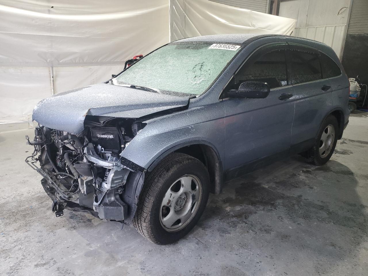 2007 Honda CR-V VIN JHLRE38317C036607