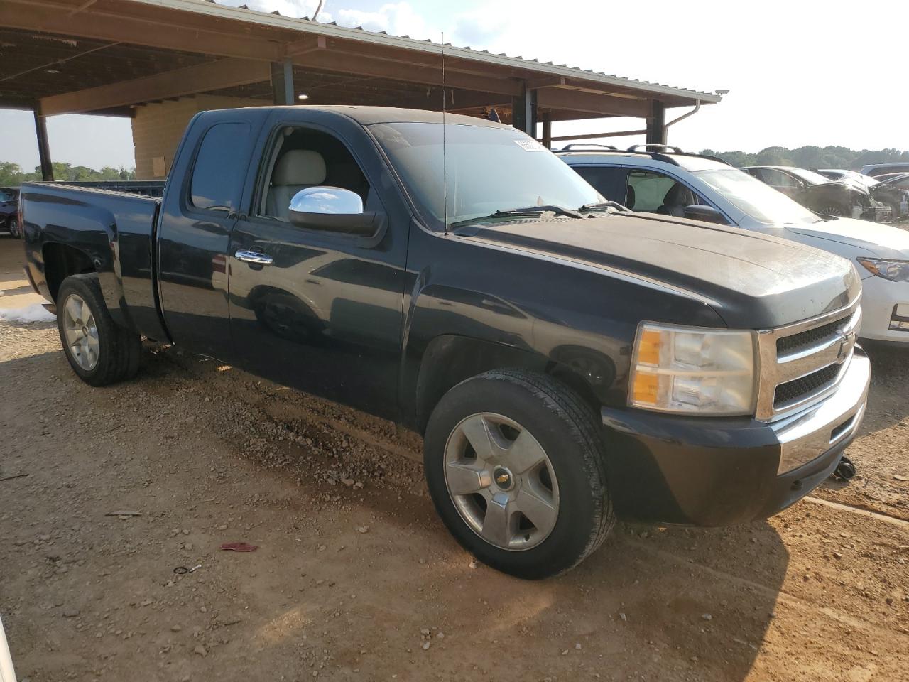 2009 Chevrolet Silverado VIN 1GCEC29059Z157639 Copart auction photo, side / rear end damage thumbnail 4