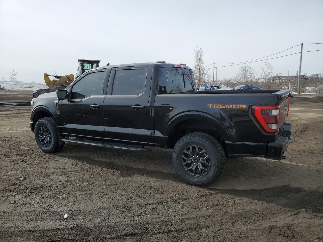 2023 Ford F-150 VIN 1FTFW1E56PFC10225 Copart auction photo, vandalism damage thumbnail 2