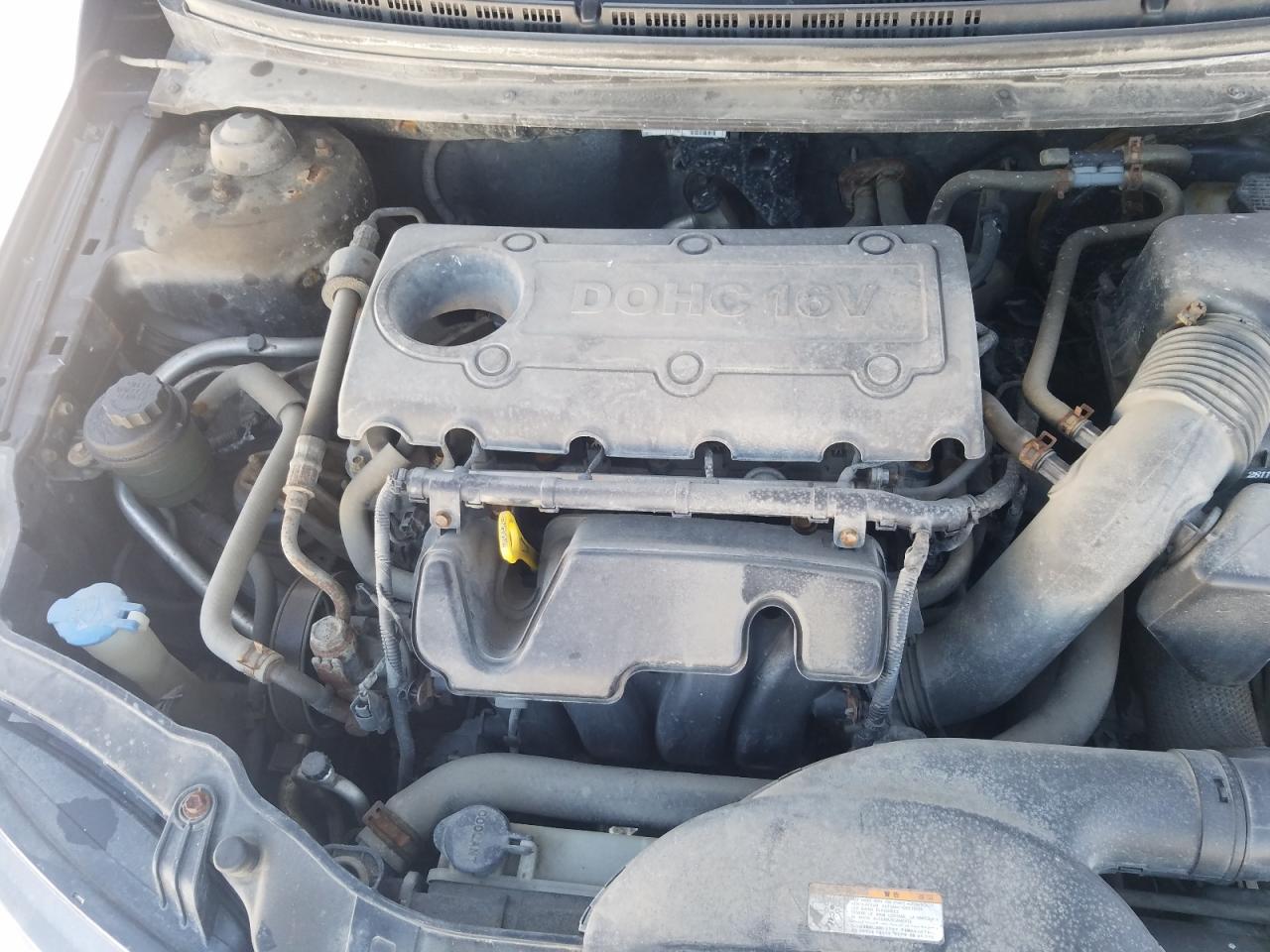 2012 KIA Forte VIN KNAFU4A28C5588885 Copart auction photo, front end damage thumbnail 11