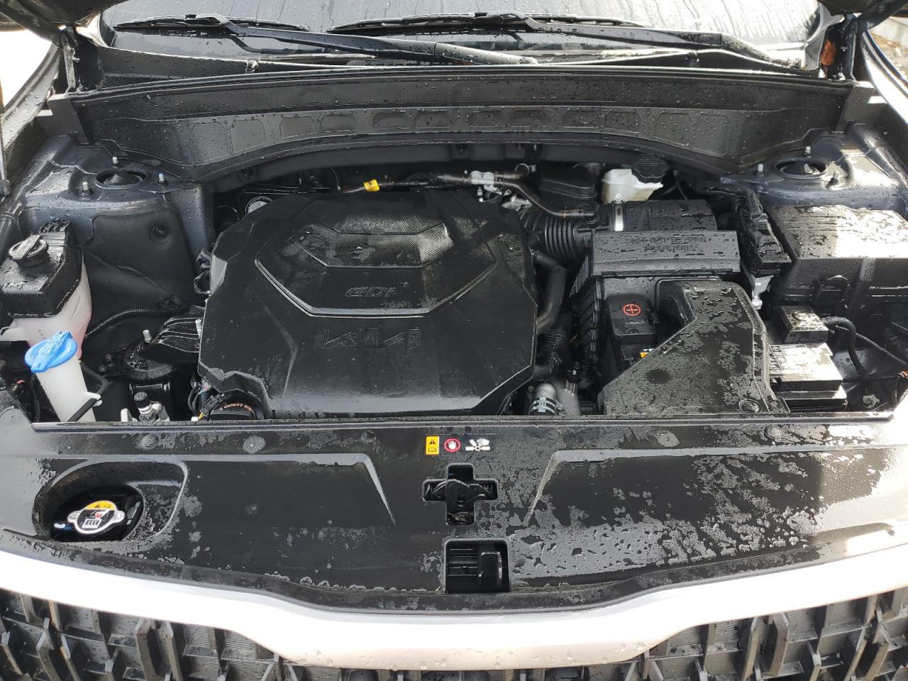2024 KIA Telluride VIN 5XYP34GC2RG425904 Copart auction photo, water/flood damage thumbnail 12