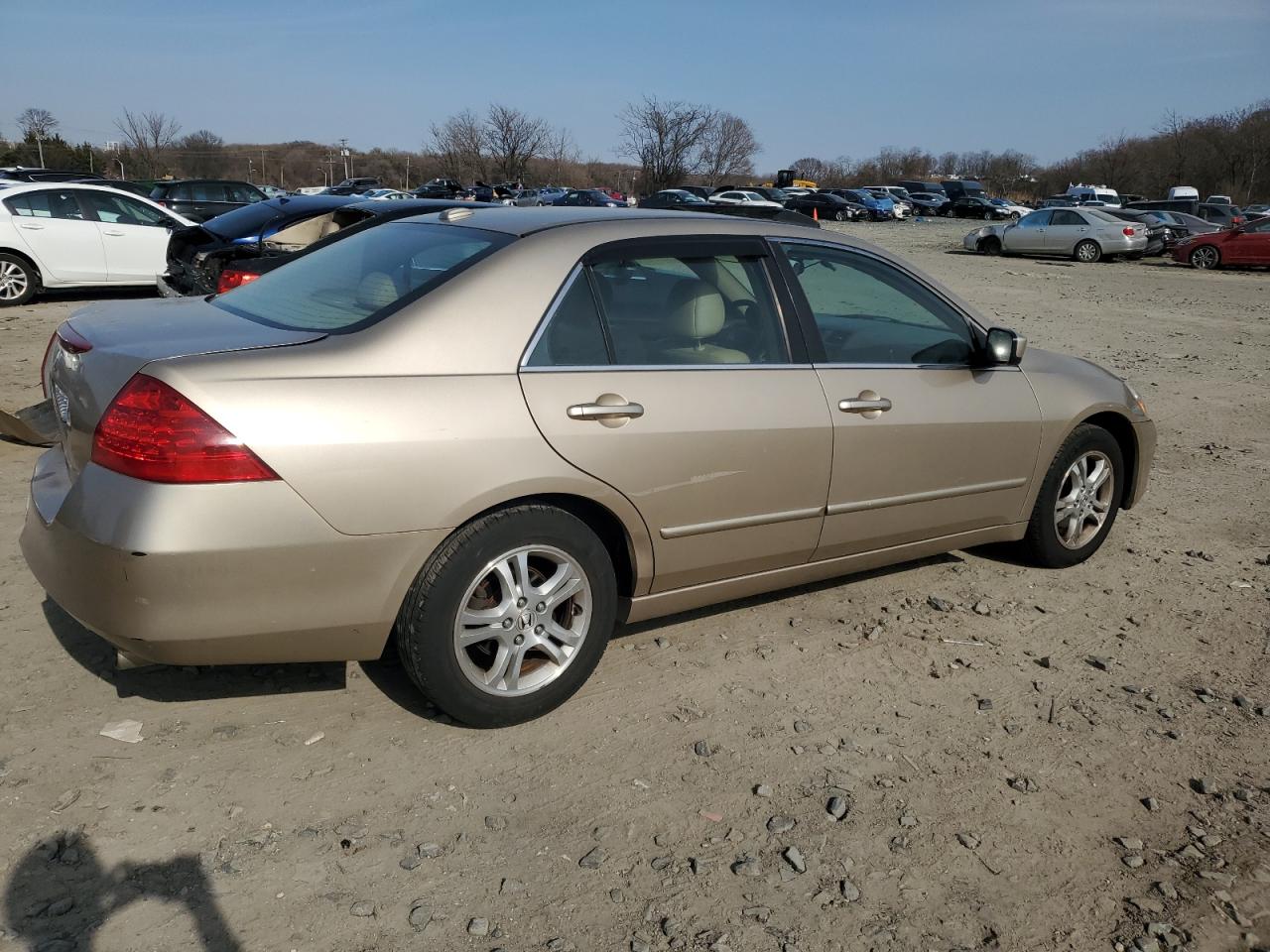 2006 Honda Accord VIN 1HGCM56886A003731 Copart auction photo, rear end / minor dent/scratches damage thumbnail 3