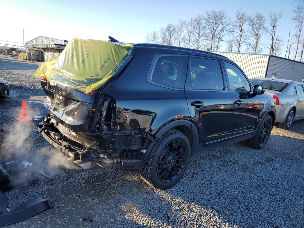 2022 KIA Telluride VIN 5XYP5DHC7NG307821 Copart auction photo, rear end damage thumbnail 3