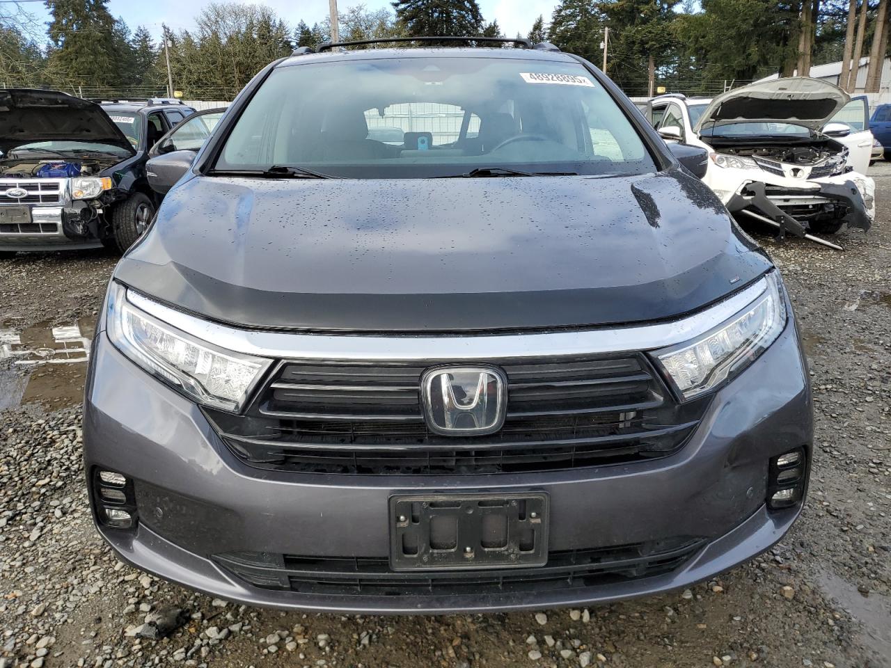 2021 Honda Odyssey VIN 5FNRL6H87MB033970 Copart auction photo, rear end damage thumbnail 5