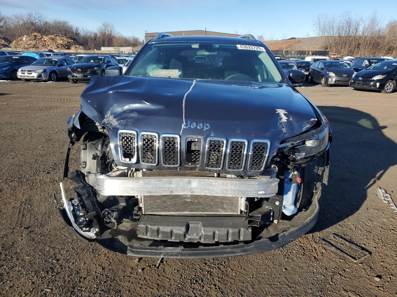2020 Jeep Grand Cherokee VIN 1C4PJMCB2LD550684 Copart auction photo, front end damage thumbnail 5