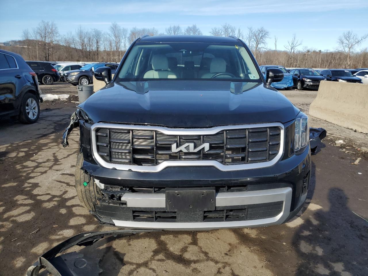 2023 KIA Telluride VIN 5XYP6DGC3PG371968 Copart auction photo, front end / minor dent/scratches damage thumbnail 5