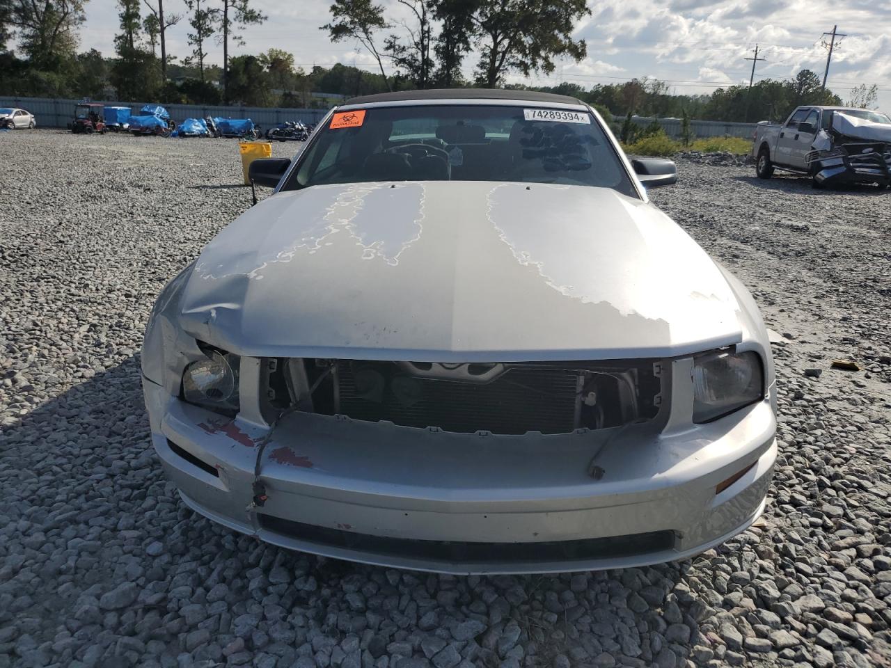 2006 Ford Mustang VIN 1ZVFT85H565257257 Copart auction photo, front end damage thumbnail 5