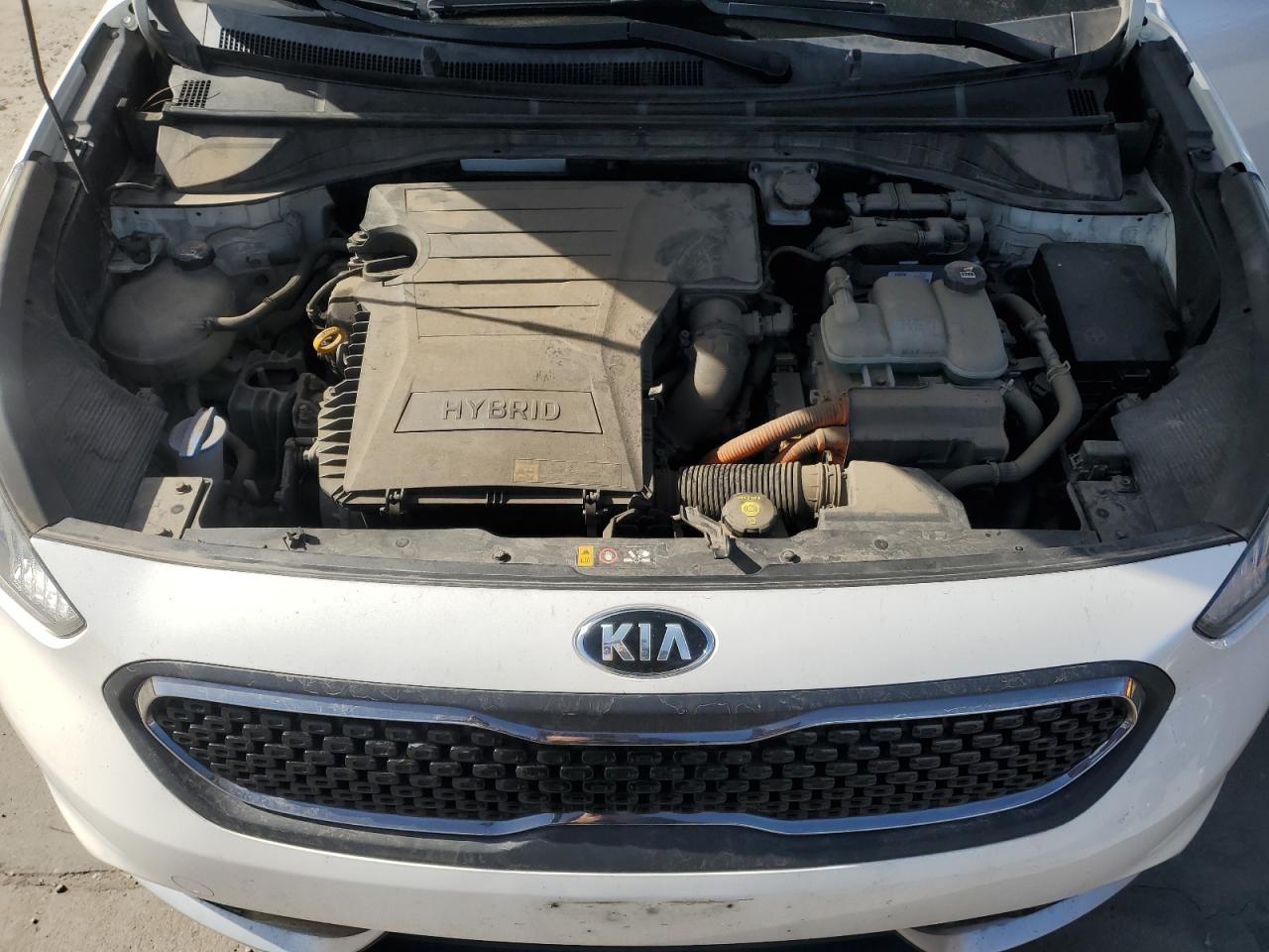 2017 KIA Niro VIN KNDCB3LC1H5045204 Copart auction photo, hail damage thumbnail 12