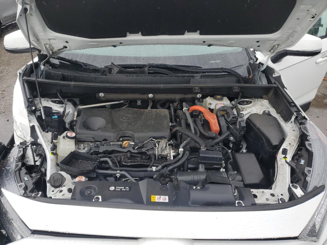2019 Toyota RAV 4 VIN 2T3RWRFV4KW018741 Copart auction photo, front end damage thumbnail 12