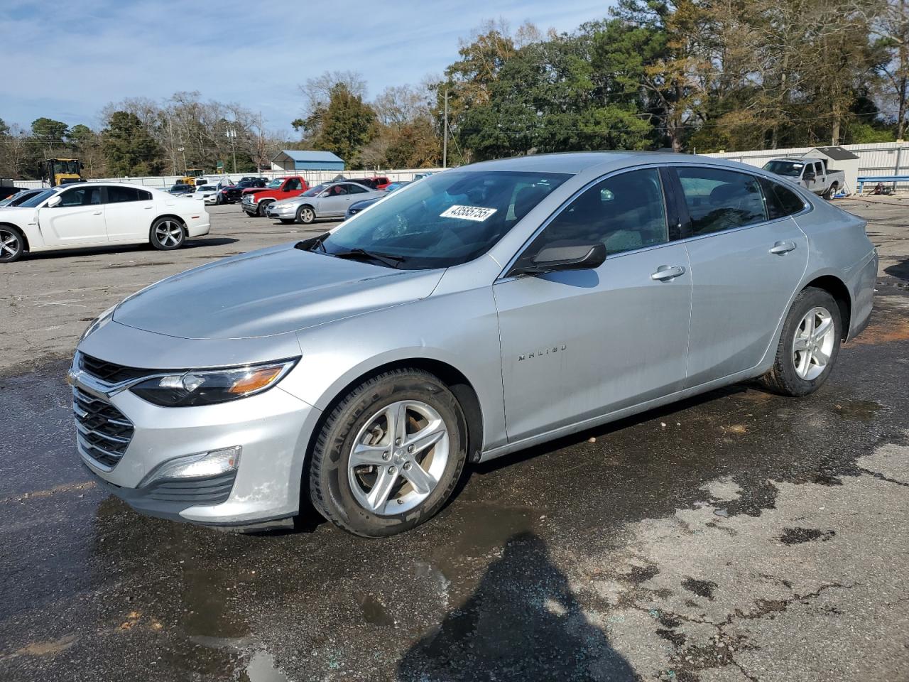 2019 Chevrolet Malibu VIN 1G1ZB5ST1KF187702