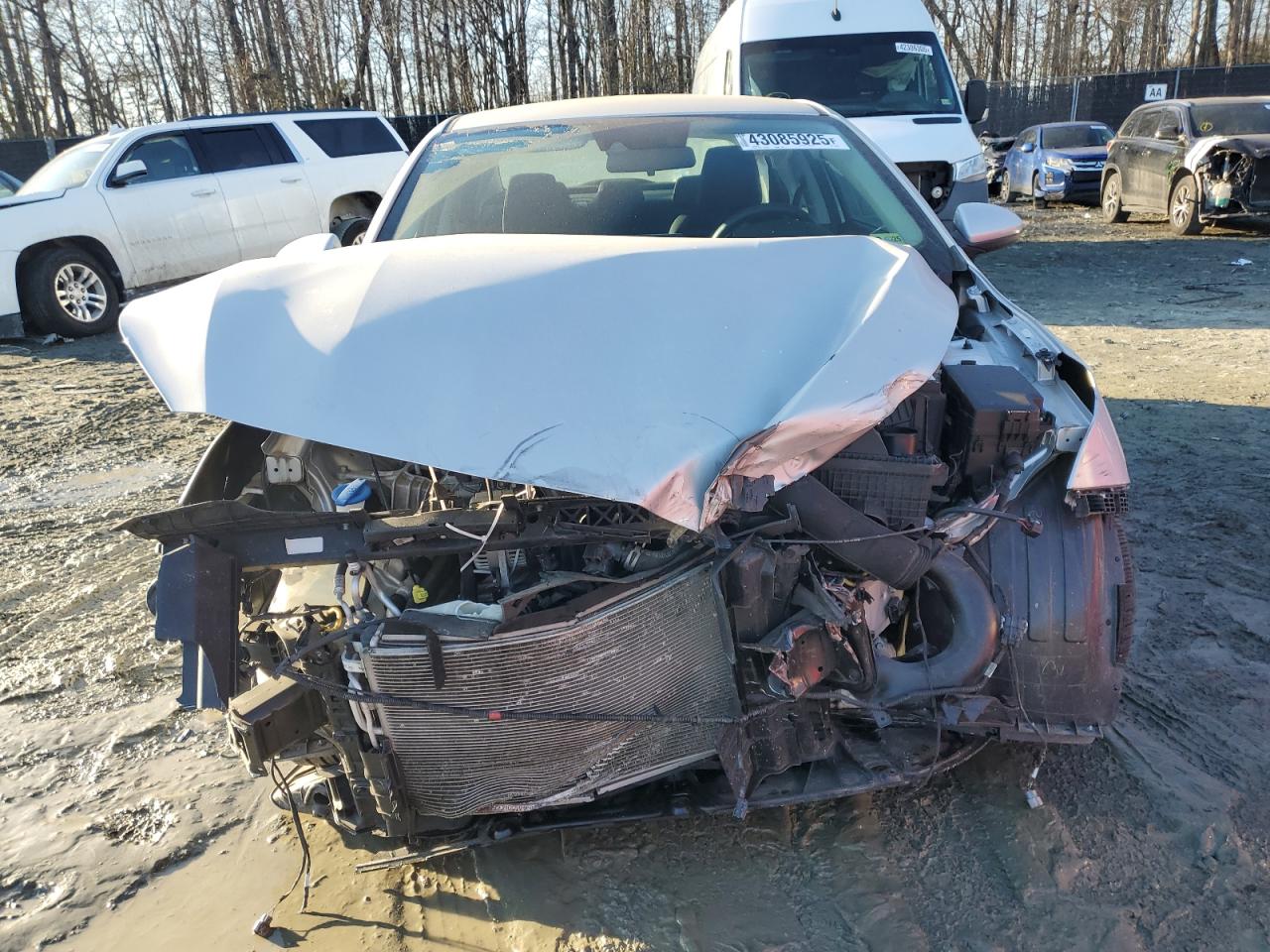 2019 KIA Forte VIN 3KPF24AD2KE024484 Copart auction photo, front end / minor dent/scratches damage thumbnail 5