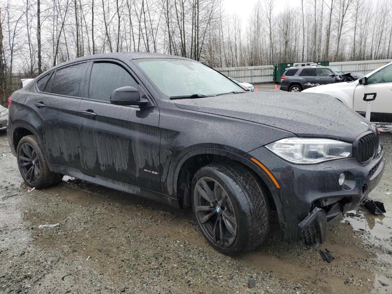2016 BMW X6 VIN 5UXKU2C56G0N80105 Copart auction photo, front end / side damage thumbnail 4