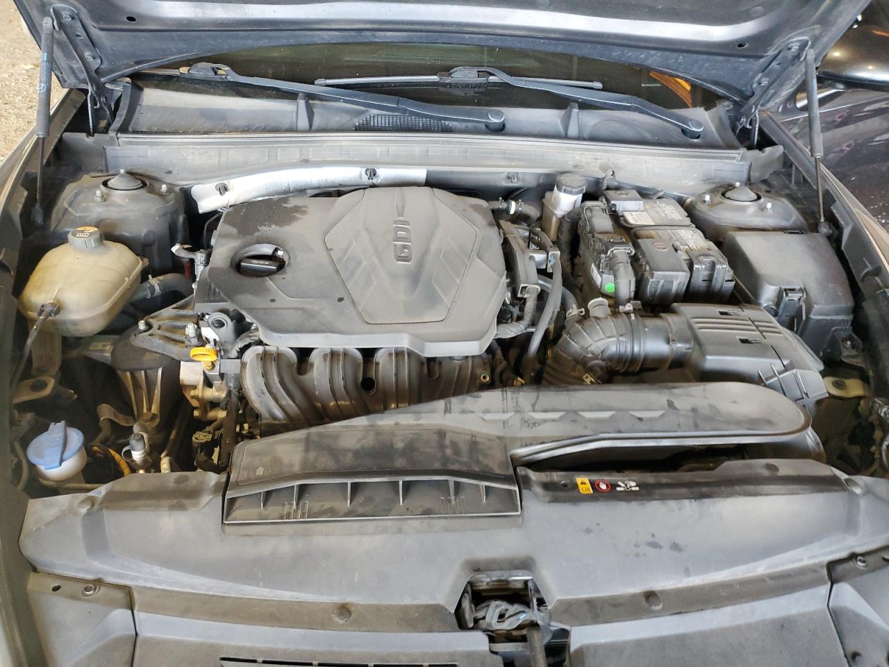 2020 Hyundai Sonata VIN 5NPEL4JAXLH032005 Copart auction photo, rear end / side damage thumbnail 11