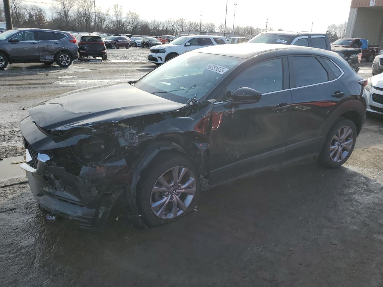 2021 Mazda CX-30 VIN 3MVDMBBL6MM204800