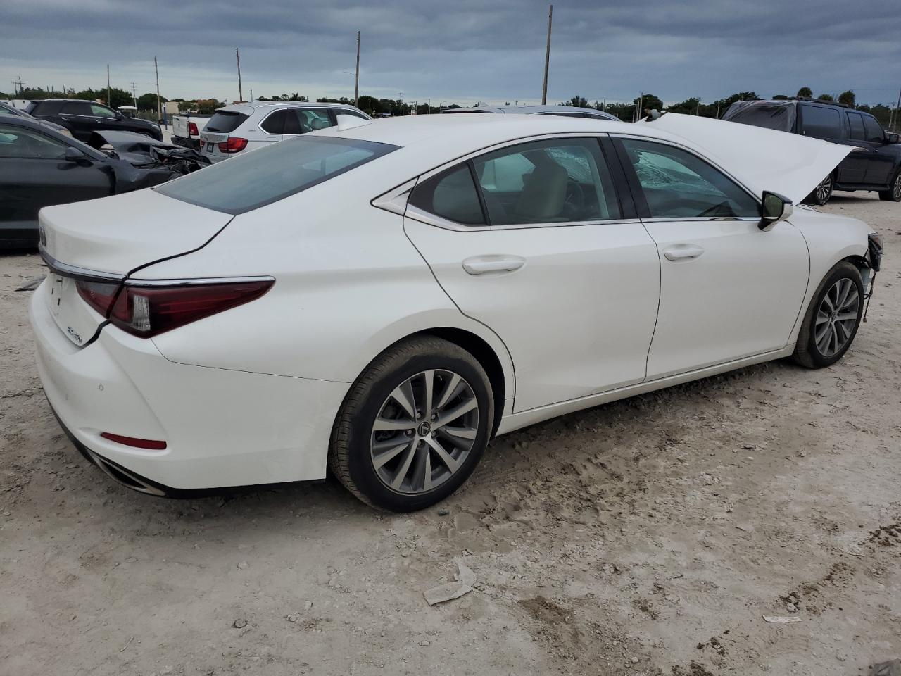 2019 Lexus ES VIN 58ABZ1B14KU048787 Copart auction photo, front end / rear end damage thumbnail 3