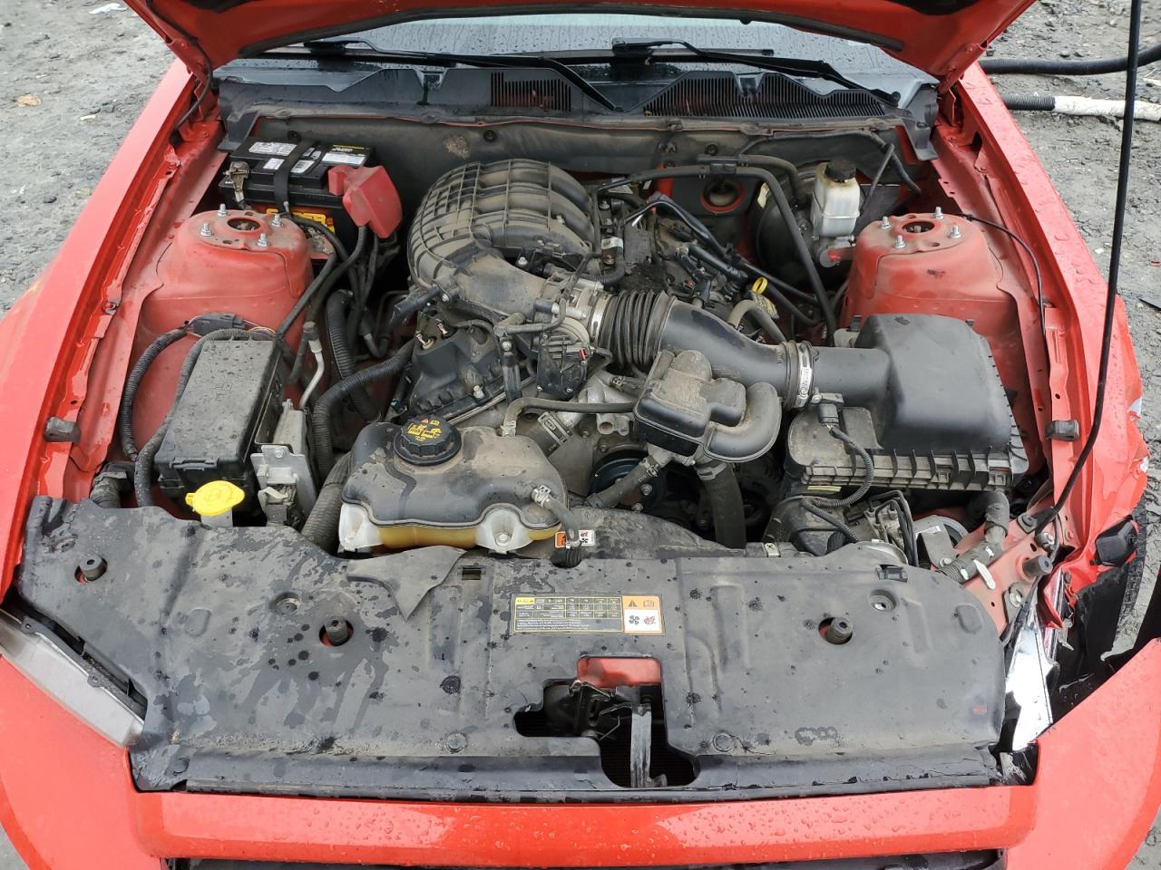 2013 Ford Mustang VIN 1ZVBP8AM5D5231020 Copart auction photo, front end / side damage thumbnail 11