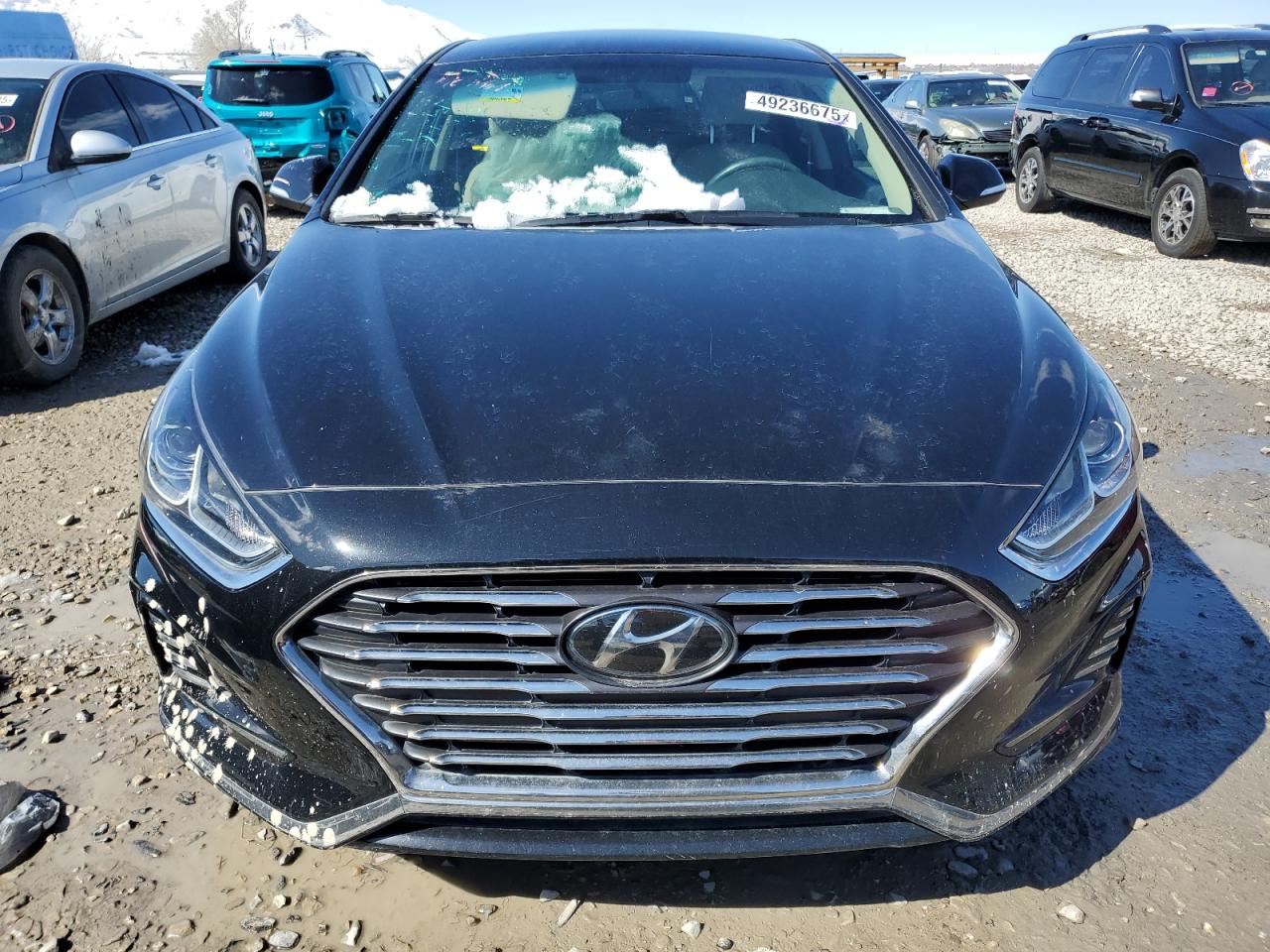 2019 Hyundai Sonata VIN KMHE24L32KA088149 Copart auction photo, side / all over damage thumbnail 5