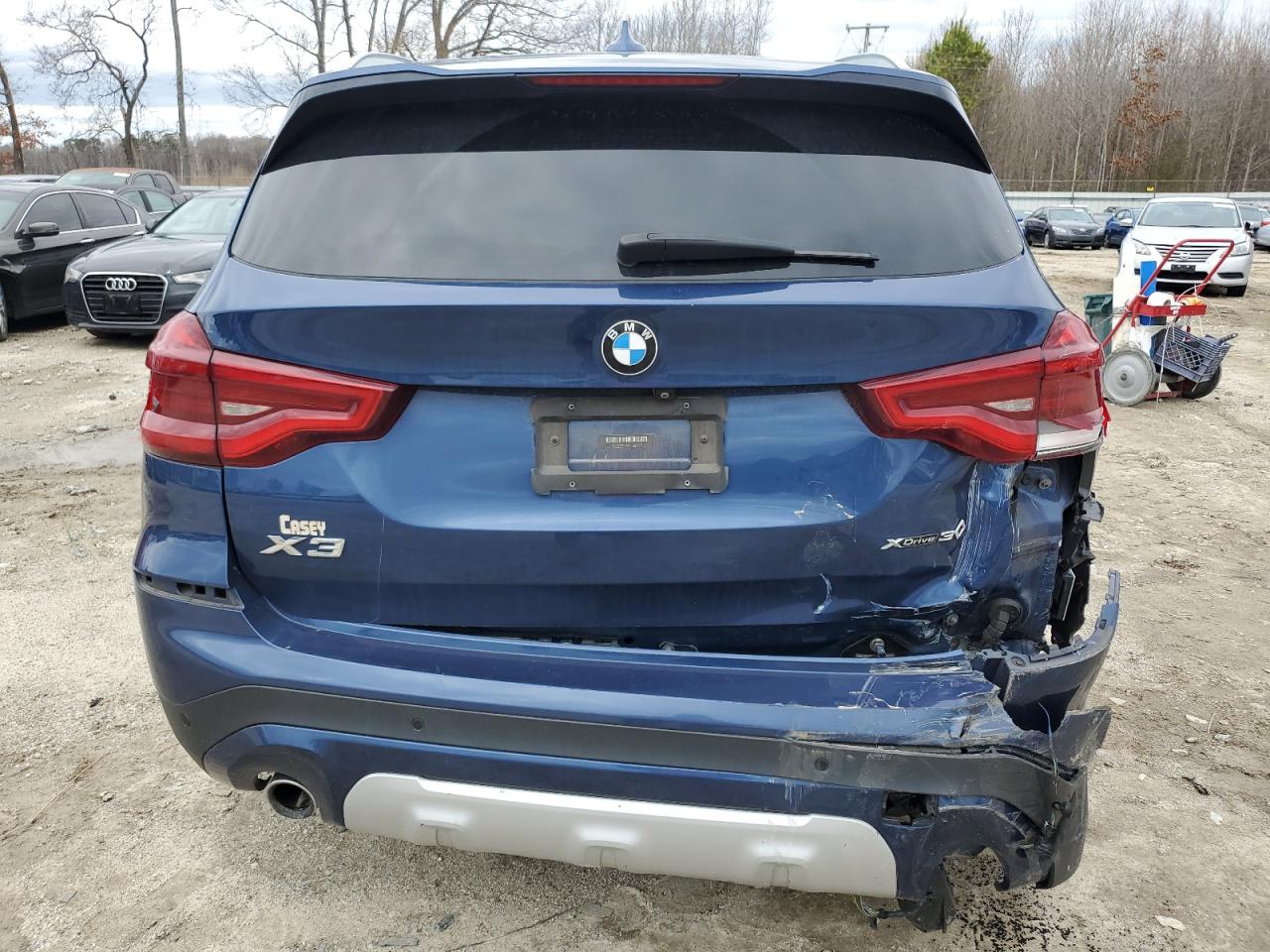 2019 BMW X3 VIN 5UXTR9C59KLP91093 Copart auction photo, all over damage thumbnail 6