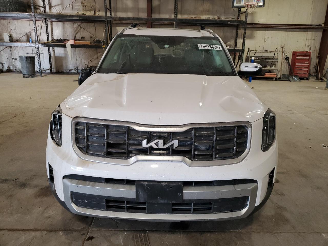 2024 KIA Telluride VIN 5XYP6DGCXRG449083 Copart auction photo, all over / undercarriage damage thumbnail 5