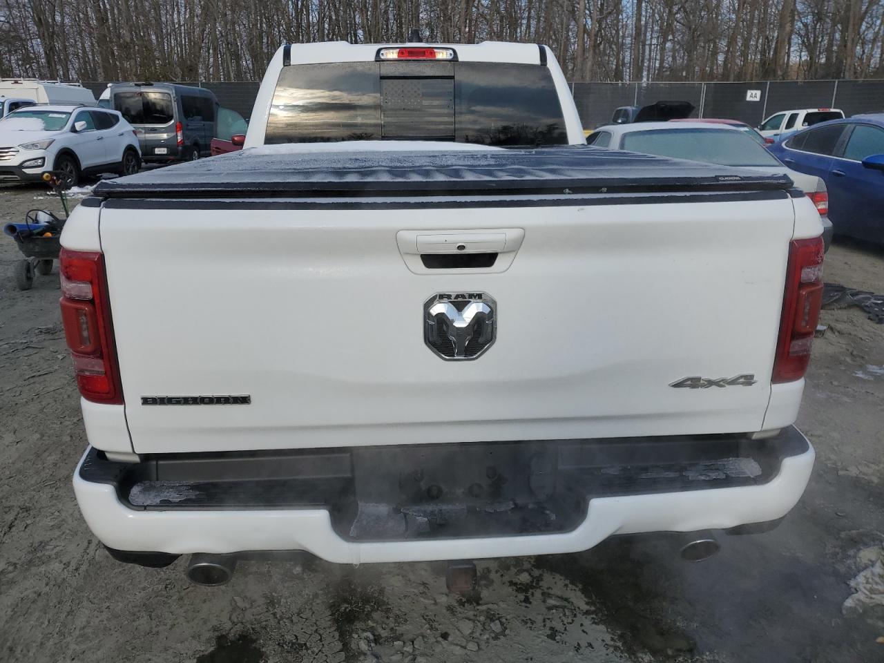 2019 RAM 1500 VIN 1C6SRFBT6KN520970 Copart auction photo, side damage thumbnail 6