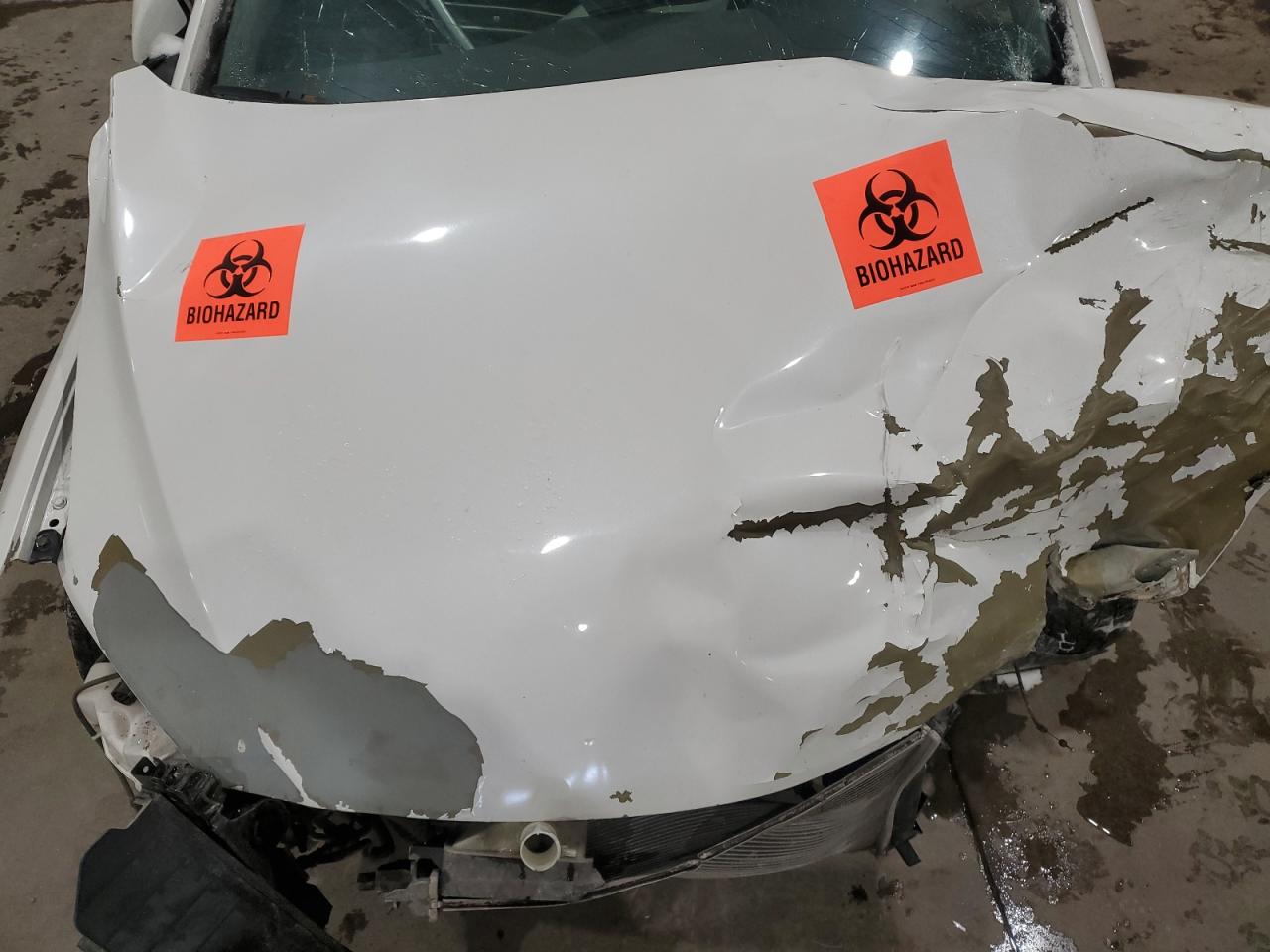 2017 Hyundai Elantra VIN 5NPD74LF3HH082986 Copart auction photo, all over / top/roof damage thumbnail 11