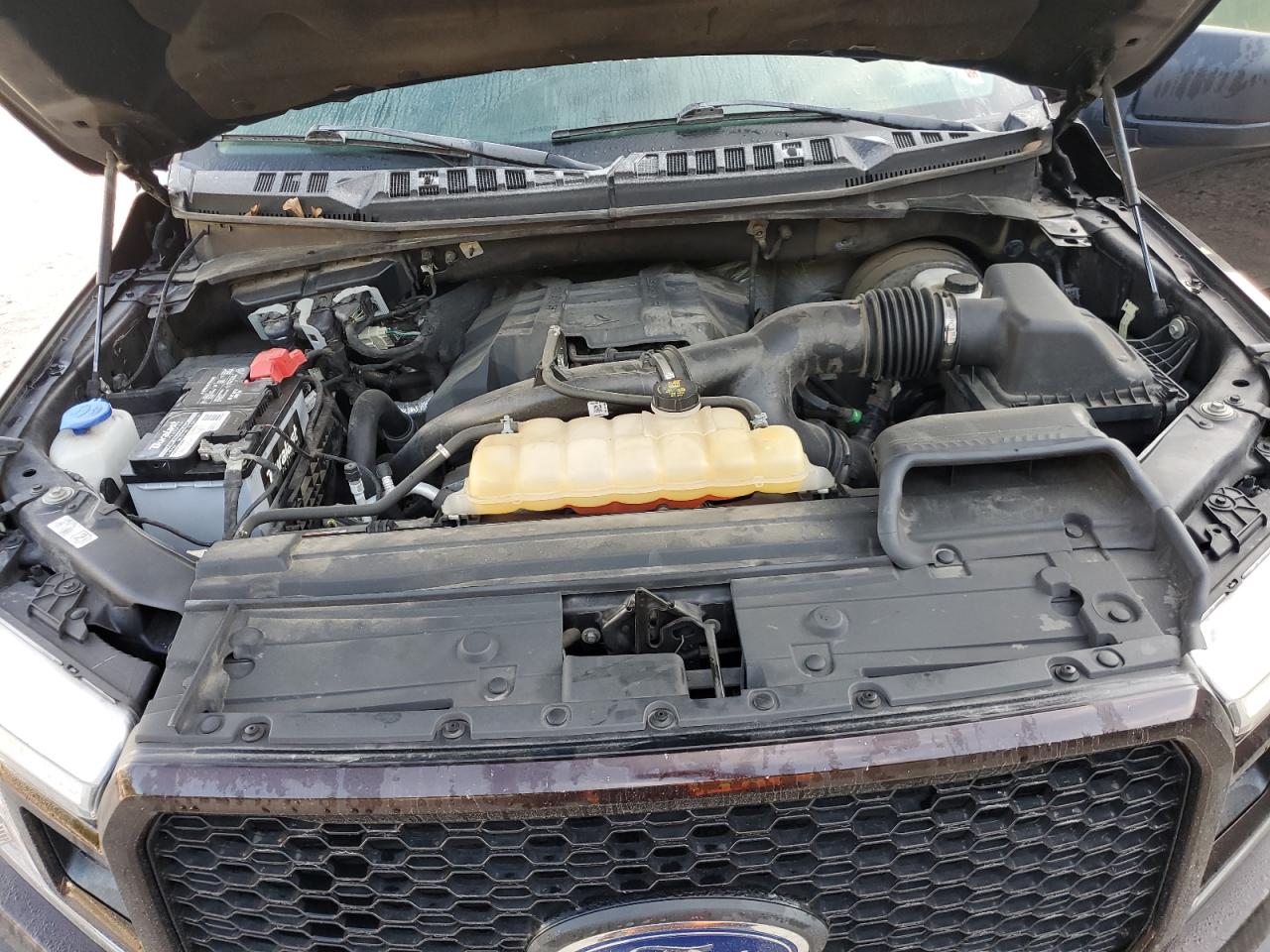 2018 Ford F-150 VIN 1FTEW1CP7JFA41744 Copart auction photo, side damage thumbnail 12