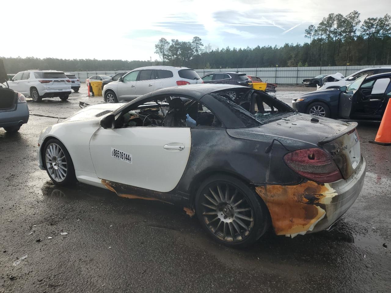 2009 Mercedes-Benz SLK-klasse VIN WDBWK54F79F194650 Copart auction photo, burn damage thumbnail 2