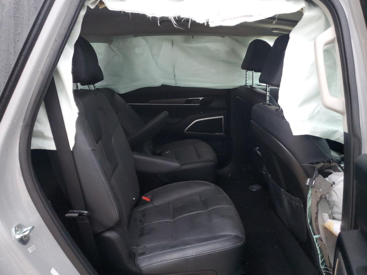 2022 KIA Telluride VIN 5XYP3DHCXNG307835 Copart auction photo, rollover damage thumbnail 11