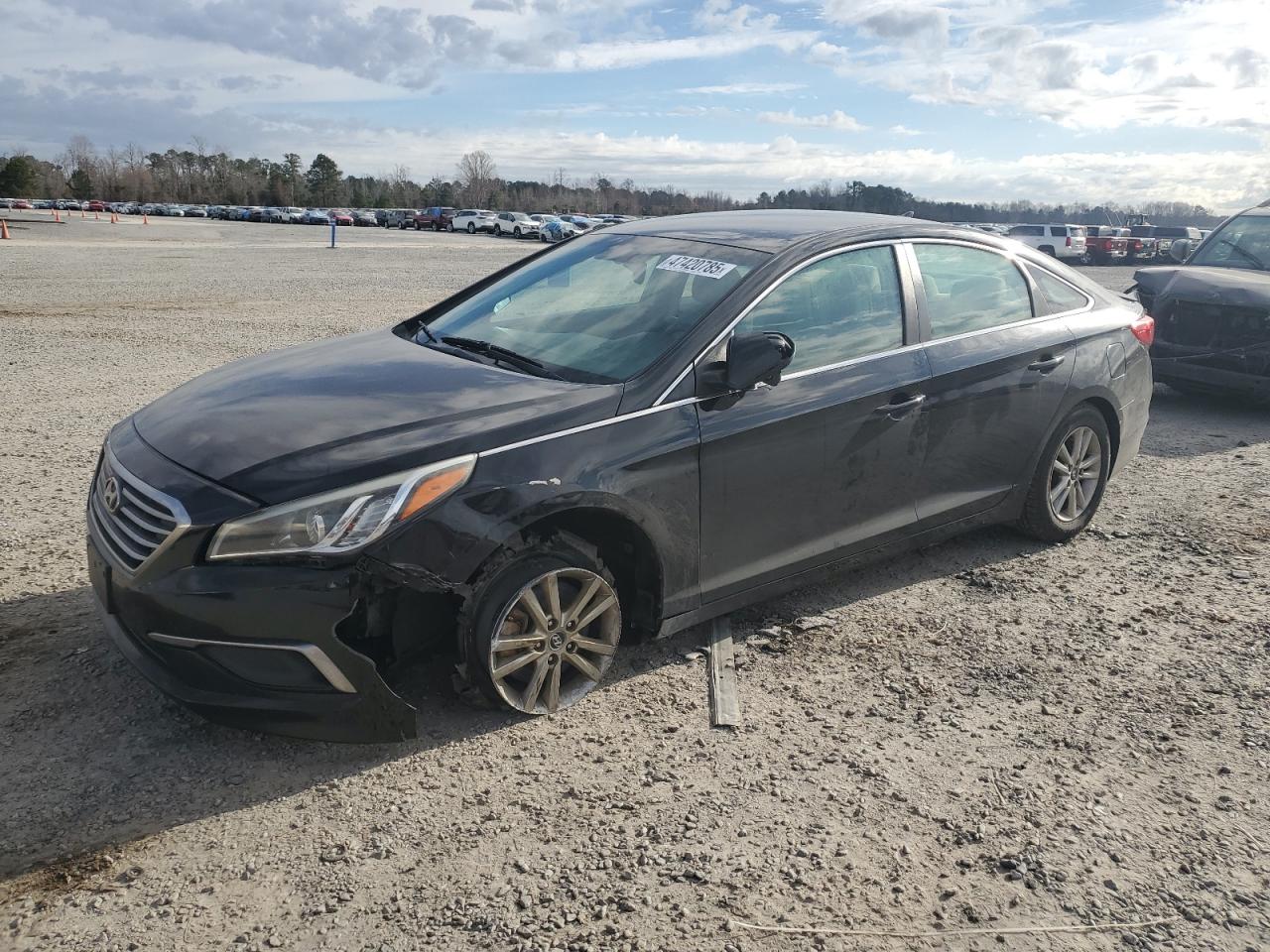 2017 Hyundai Sonata VIN 5NPE24AF7HH455498