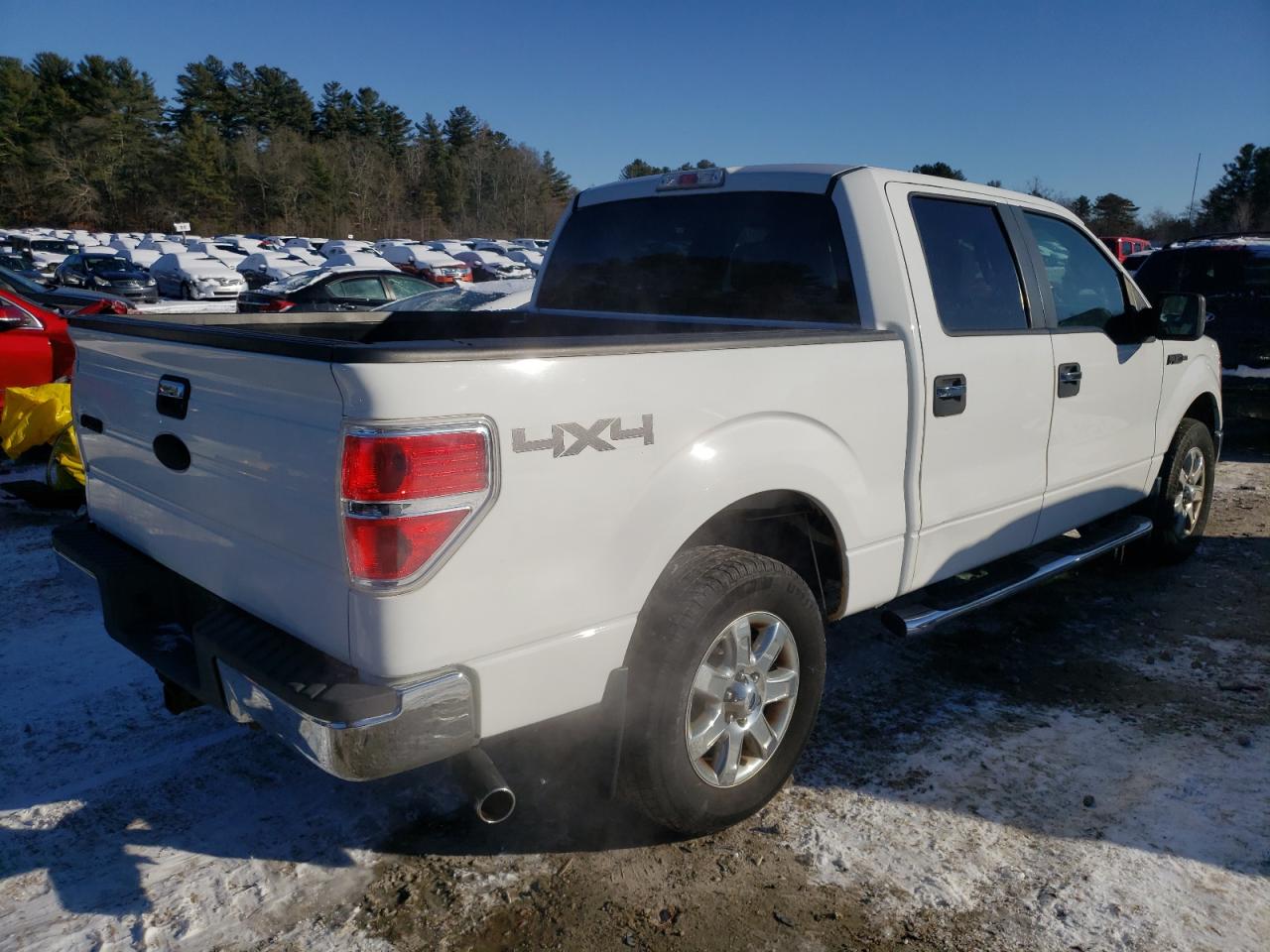 2013 Ford F-150 VIN 1FTFW1EF5DKD44834 Copart auction photo, side damage thumbnail 3