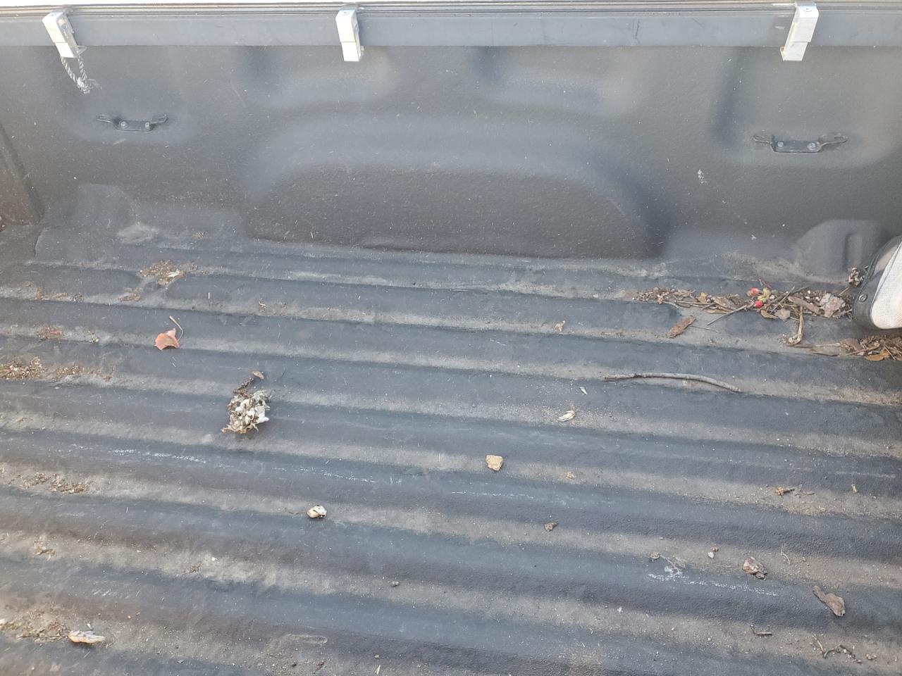 2001 Ford Ranger VIN 1FTYR10C51PA50698 Copart auction photo, minor dent/scratches damage thumbnail 10