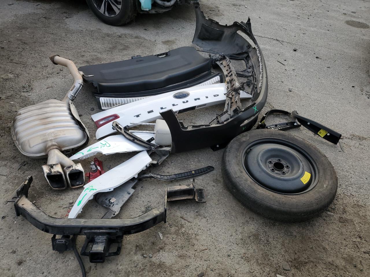 2021 KIA Telluride VIN 5XYP5DHC8MG118545 Copart auction photo, rear end damage thumbnail 13