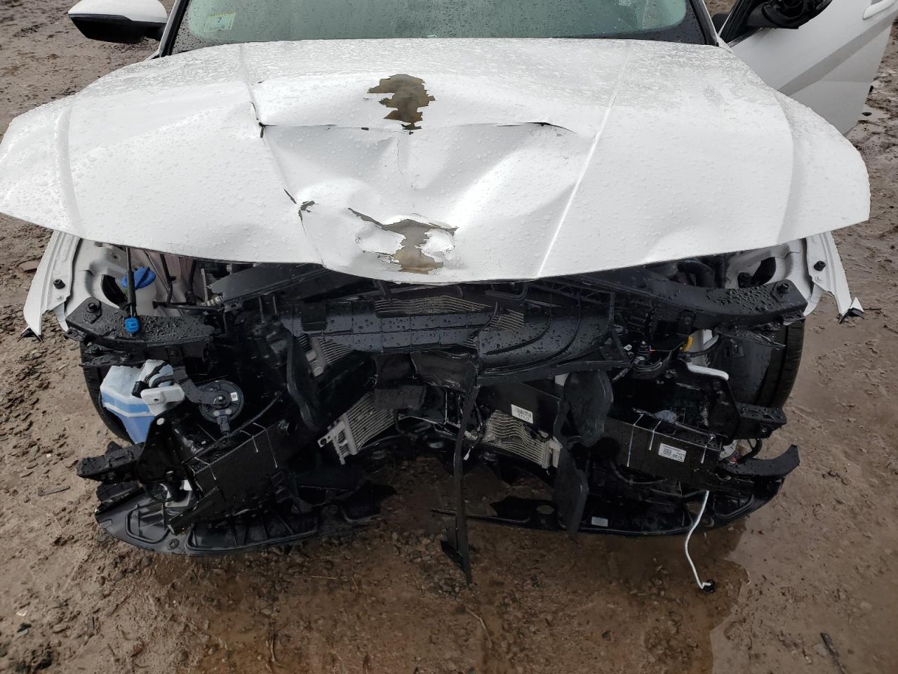 2024 Hyundai Elantra VIN KMHLN4DJ7RU095182 Copart auction photo, front end damage thumbnail 11