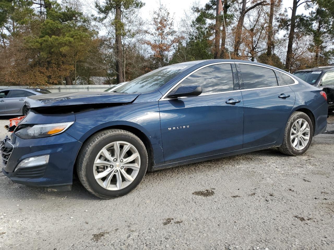 2019 Chevrolet Malibu VIN 1G1ZD5ST3KF152640