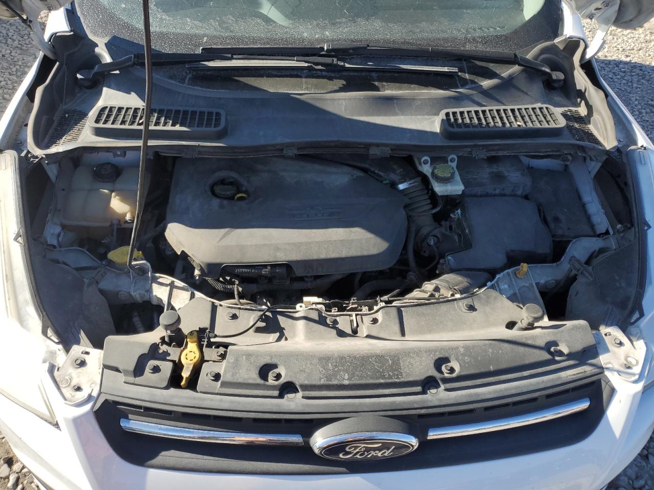 2014 Ford Escape VIN 1FMCU9GX6EUE50451 Copart auction photo, minor dent/scratches damage thumbnail 11