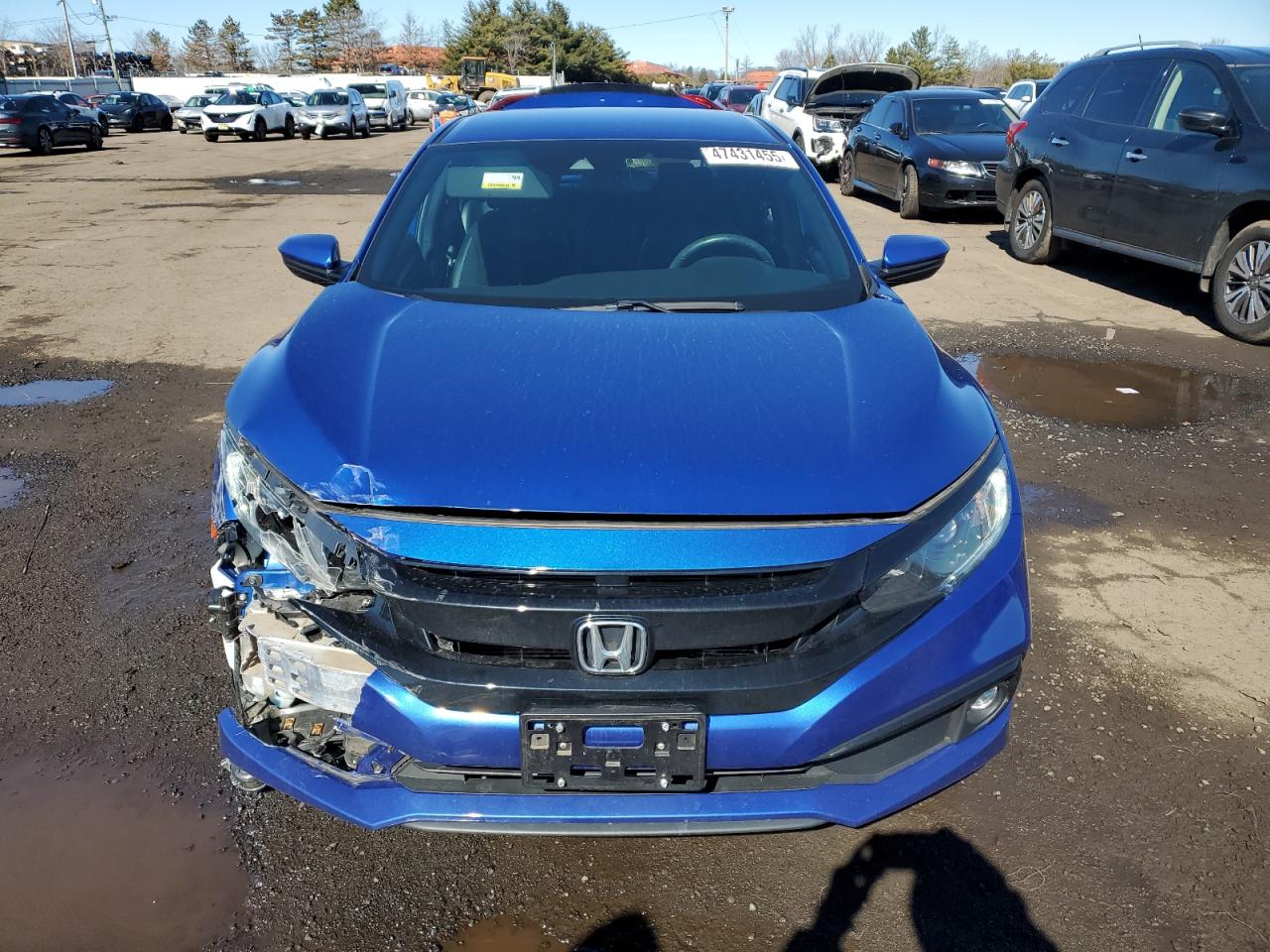 2020 Honda Civic VIN 2HGFC2F81LH505041 Copart auction photo, rear end / front end damage thumbnail 5