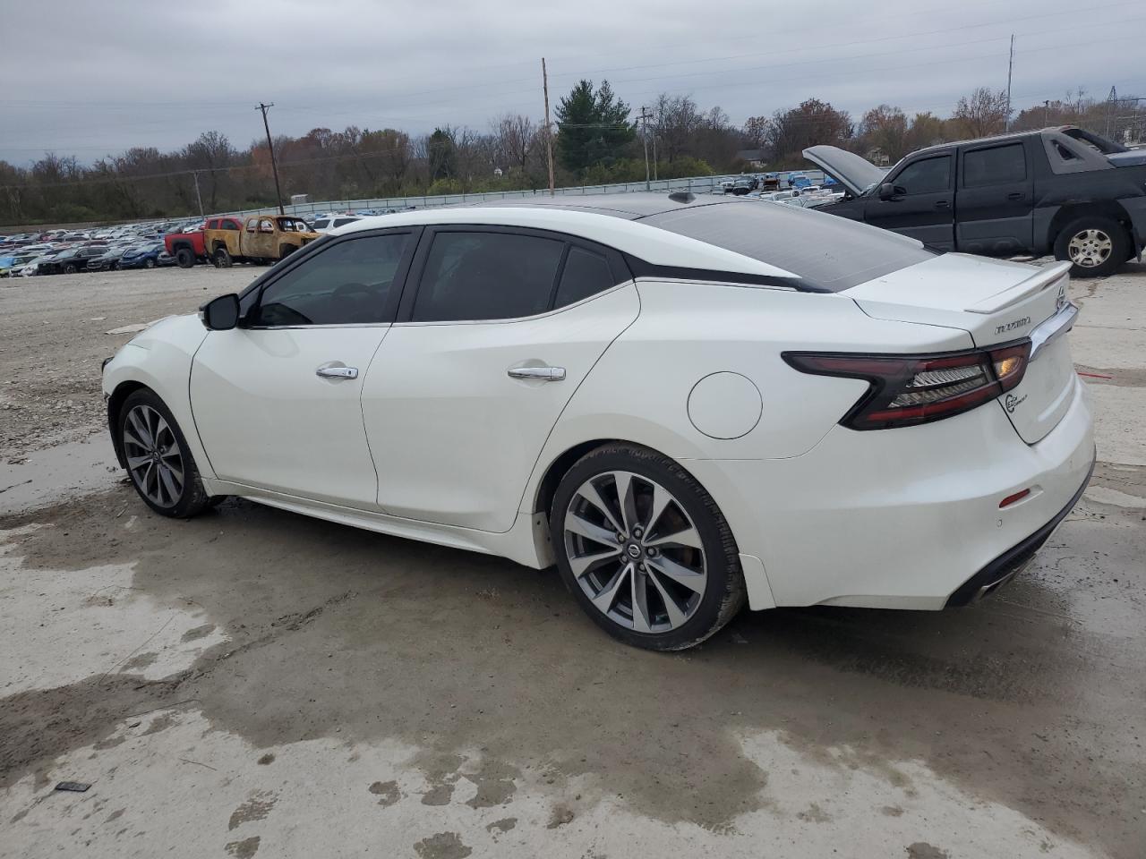 2021 Nissan Maxima VIN 1N4AA6FV0MC507630 Copart auction photo, front end damage thumbnail 2
