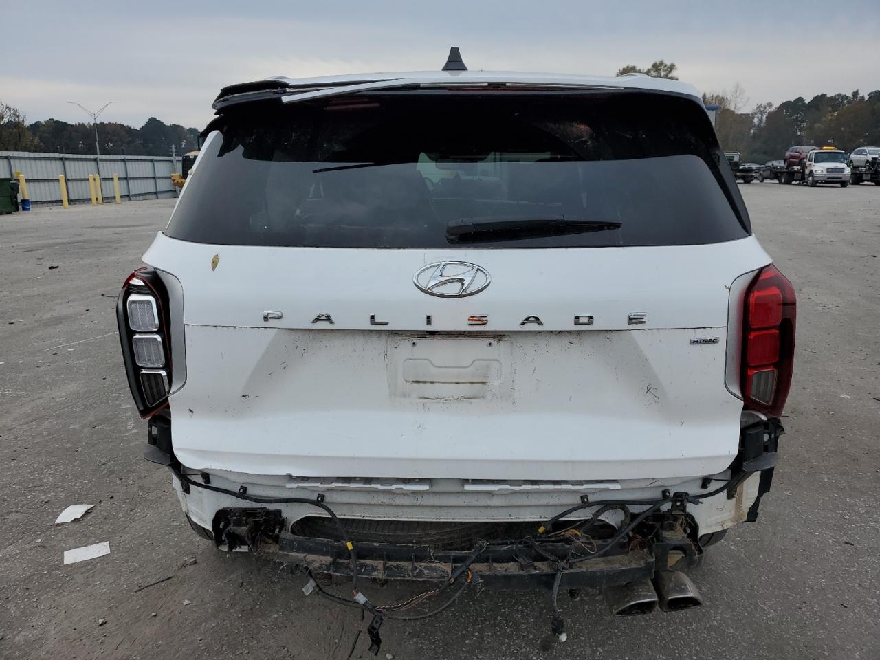 2021 Hyundai Palisade VIN KM8R7DHE0MU235132 Copart auction photo, side / rear end damage thumbnail 6