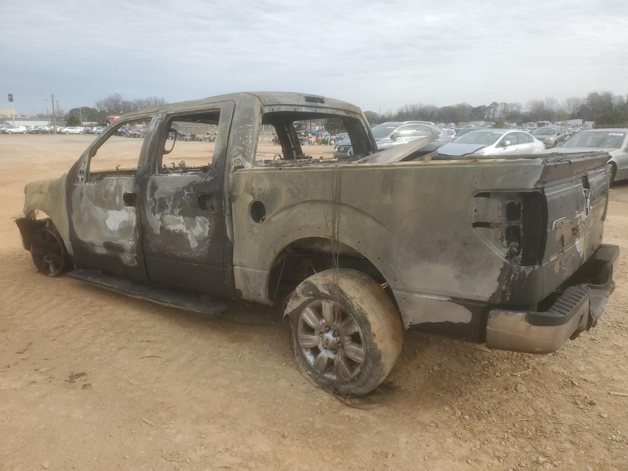 2010 Ford F-150 VIN 1FTFW1EVXAFD30732 Copart auction photo, burn damage thumbnail 2