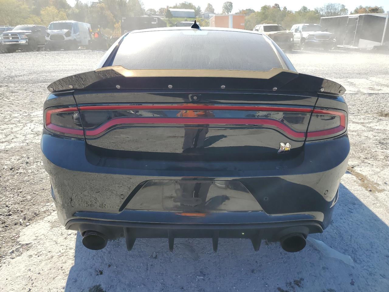 2020 Dodge Charger VIN 2C3CDXGJ1LH114294 Copart auction photo, front end damage thumbnail 6