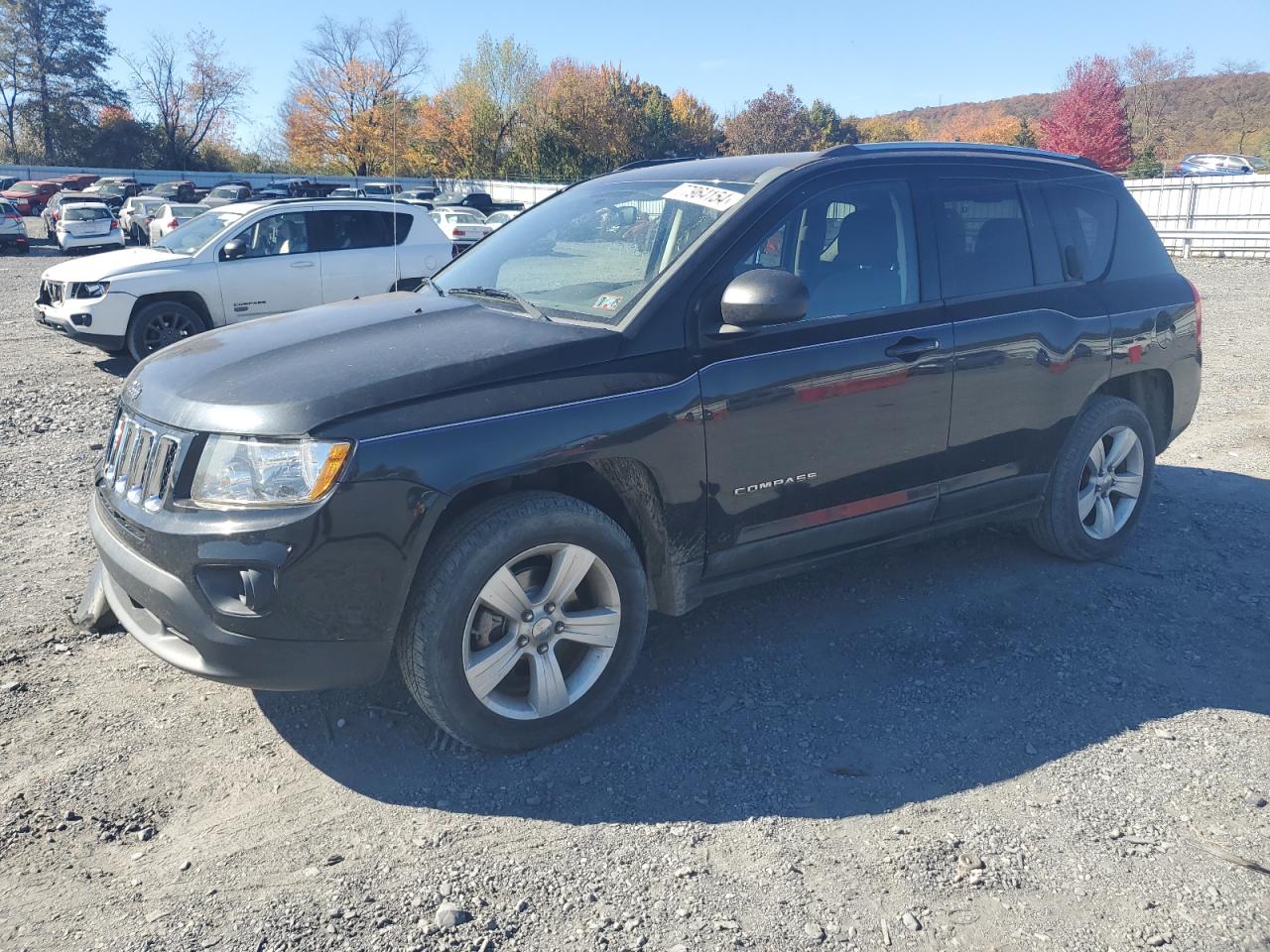 2011 Jeep Compass VIN 1J4NF1FB8BD154917